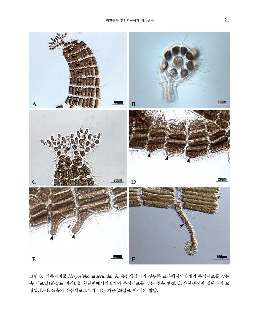 페이지