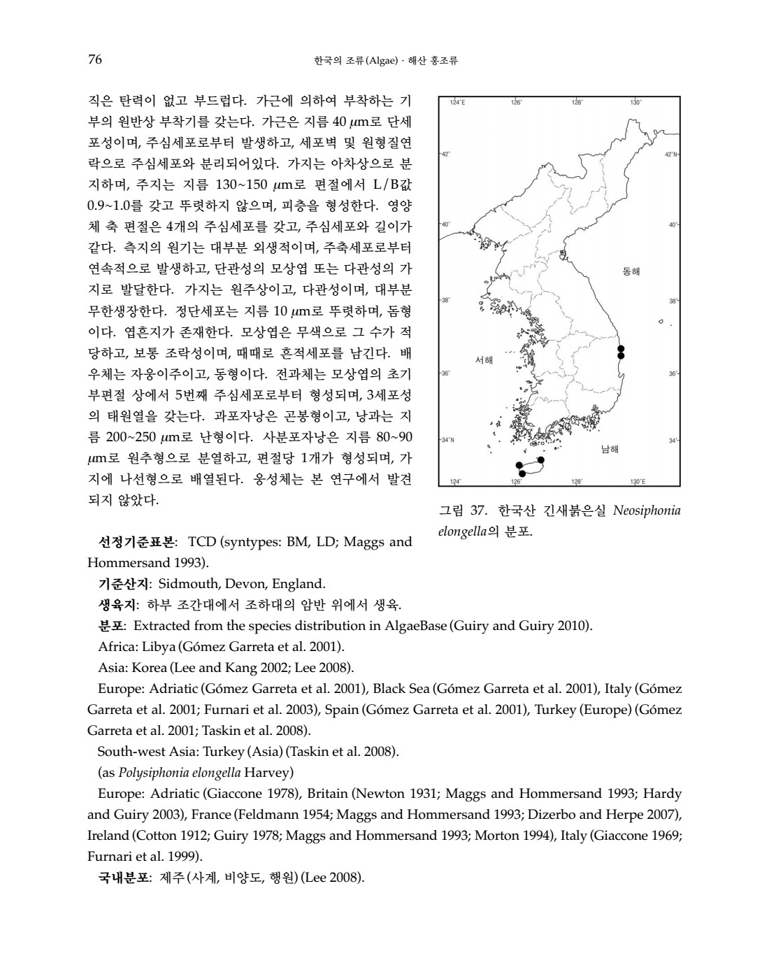 페이지