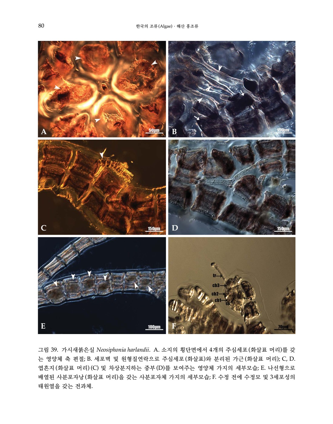 88쪽 확대 이미지