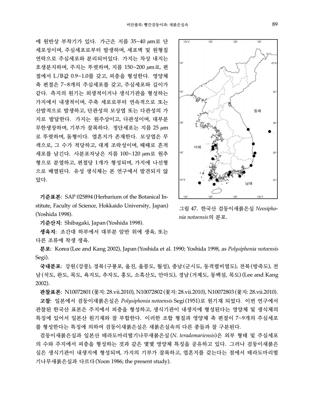 페이지