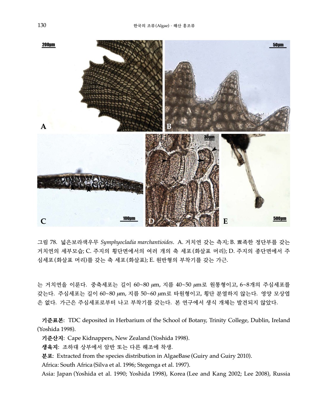 페이지