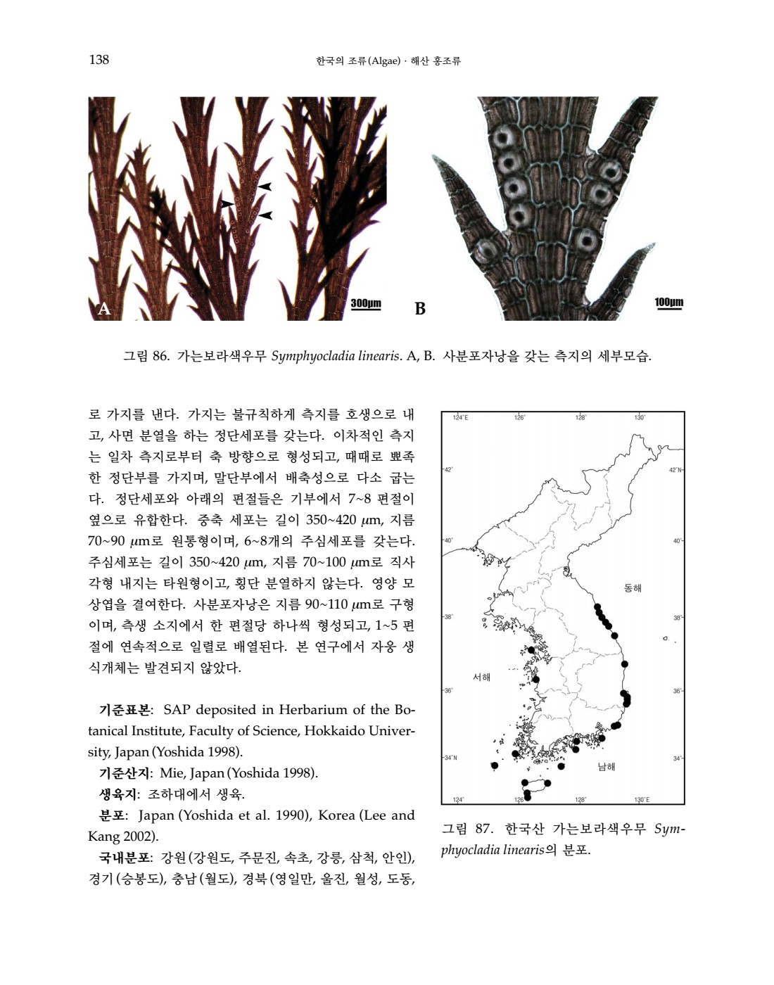 페이지