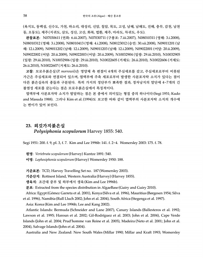 58페이지