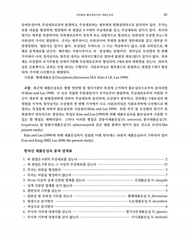 65페이지
