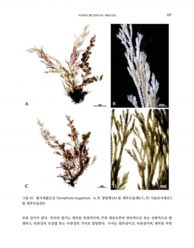 107페이지