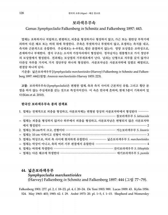 128페이지