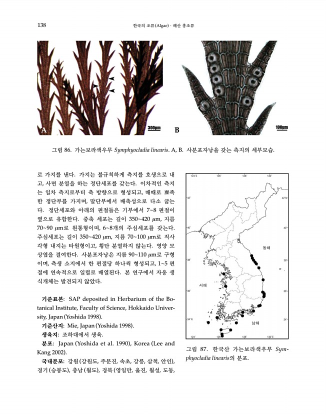 138페이지
