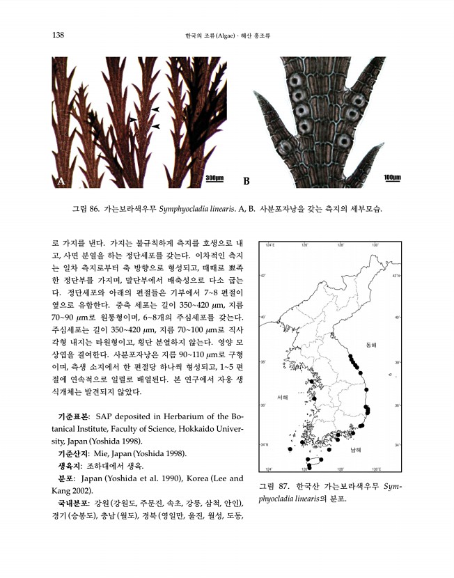 138페이지