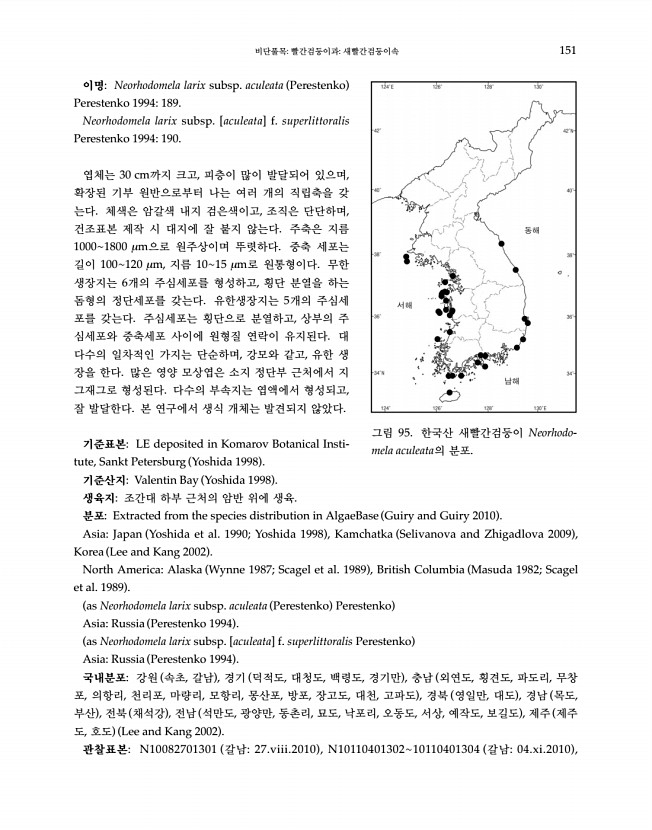 151페이지