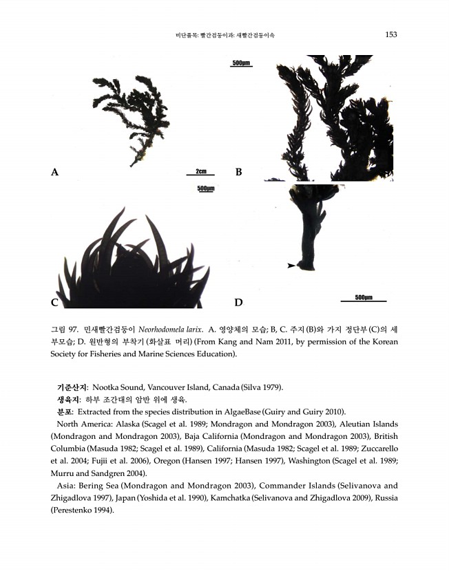 153페이지