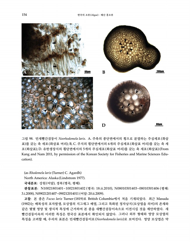 154페이지