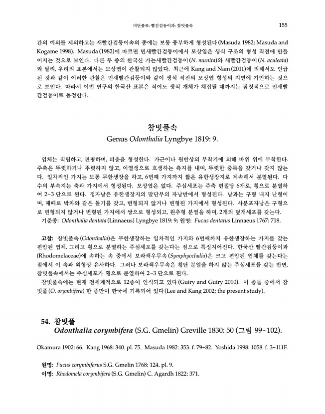 155페이지