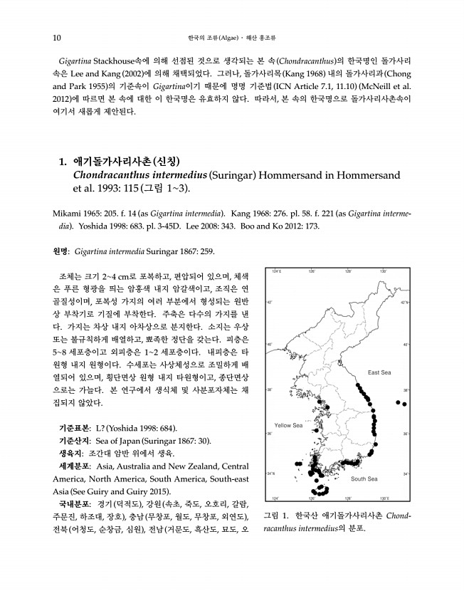 10페이지