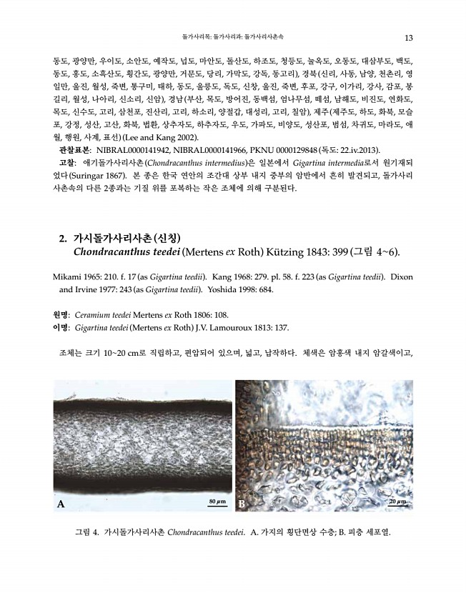 13페이지