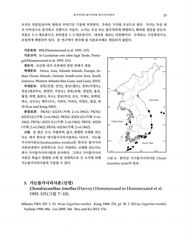 15페이지