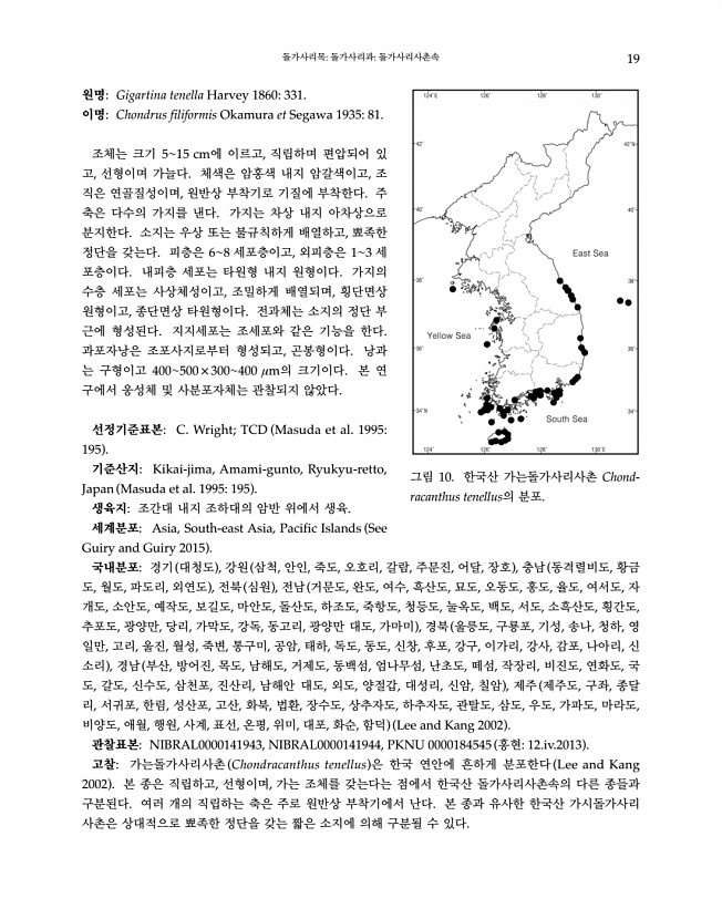 19페이지