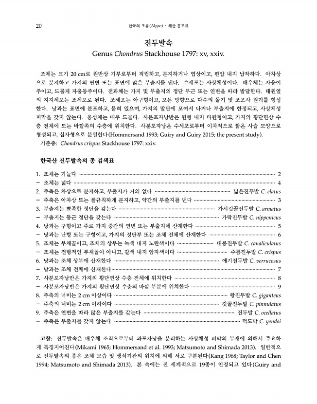 20페이지