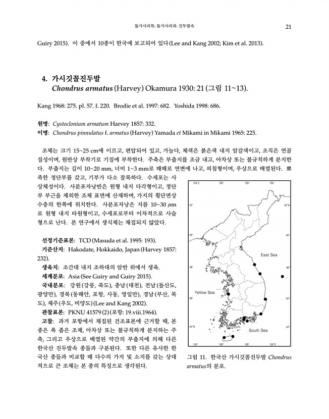 21페이지