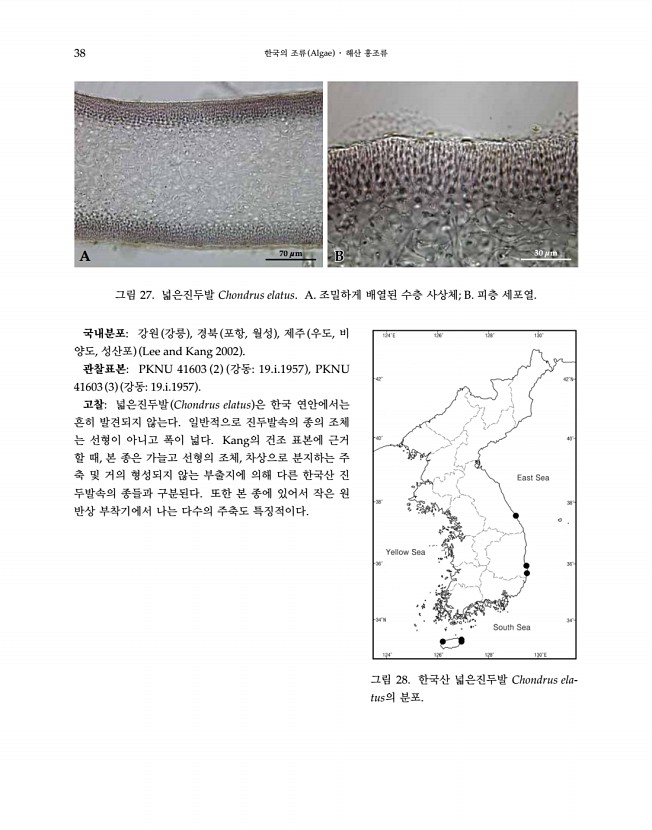 38페이지
