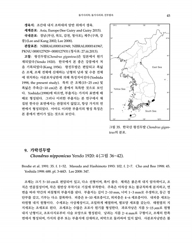 45페이지