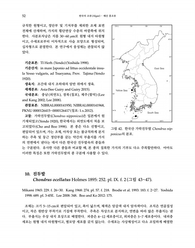 52페이지