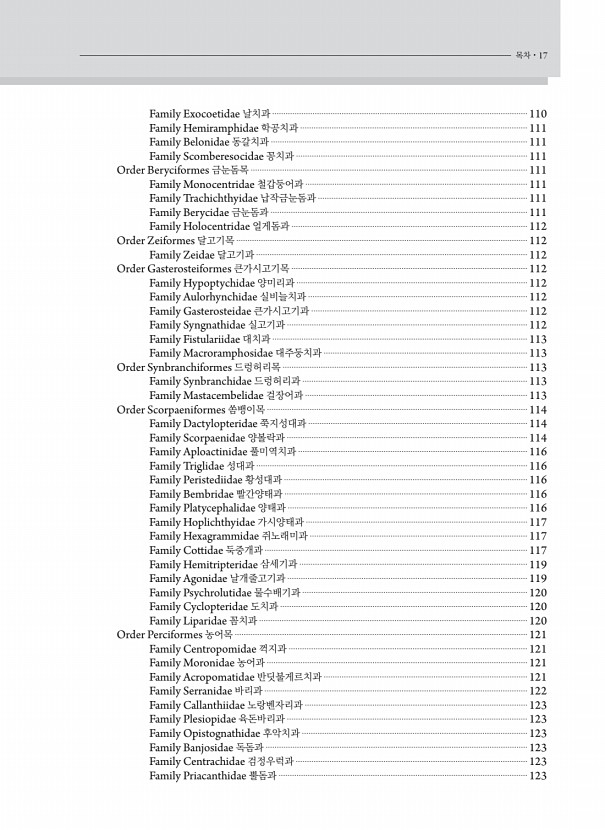 17페이지