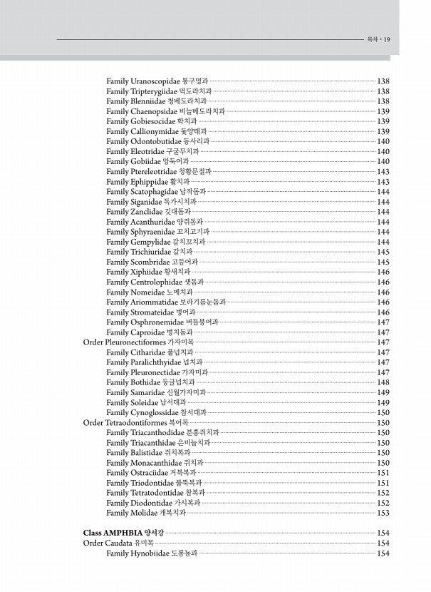 19페이지