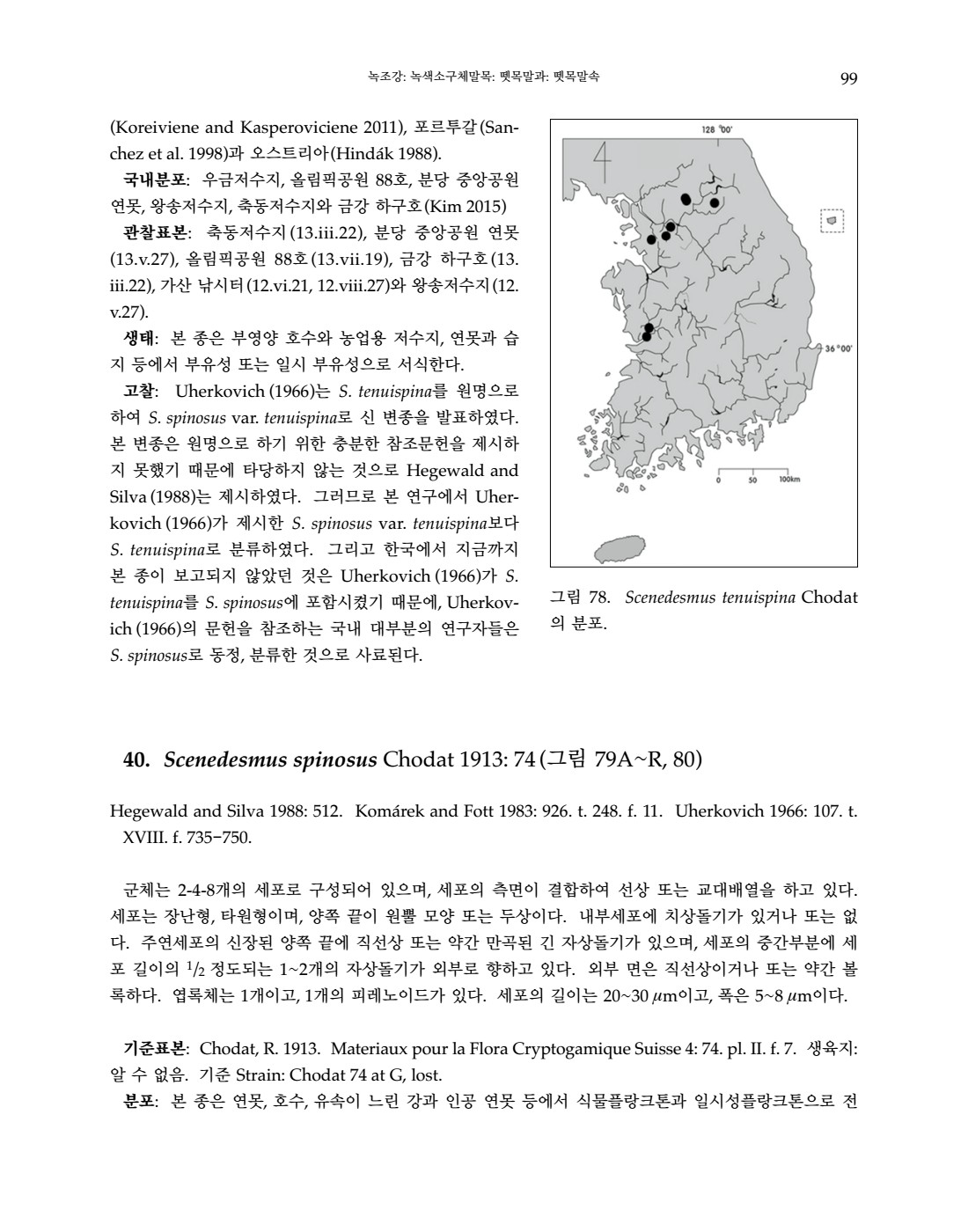 페이지