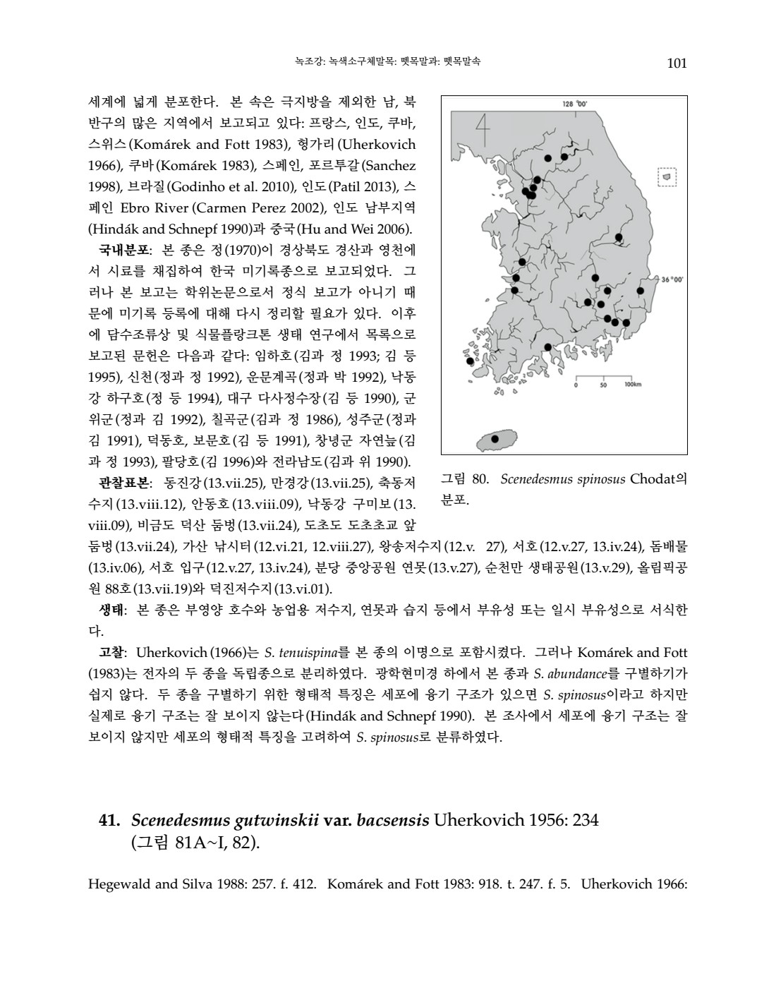 페이지