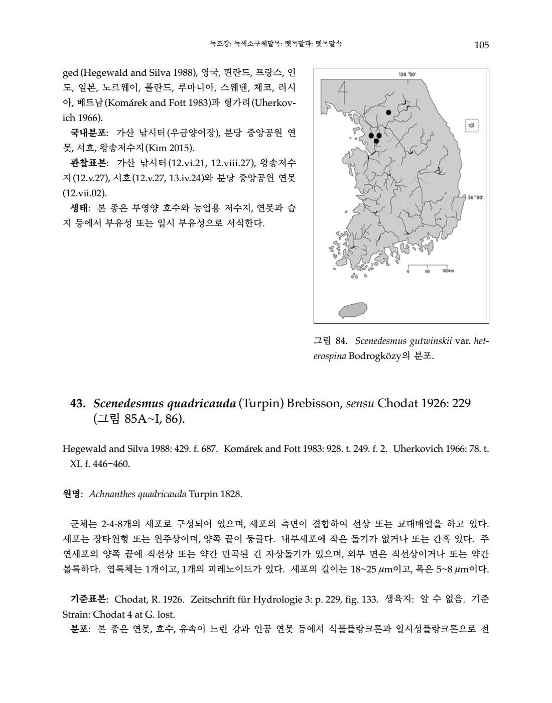 페이지