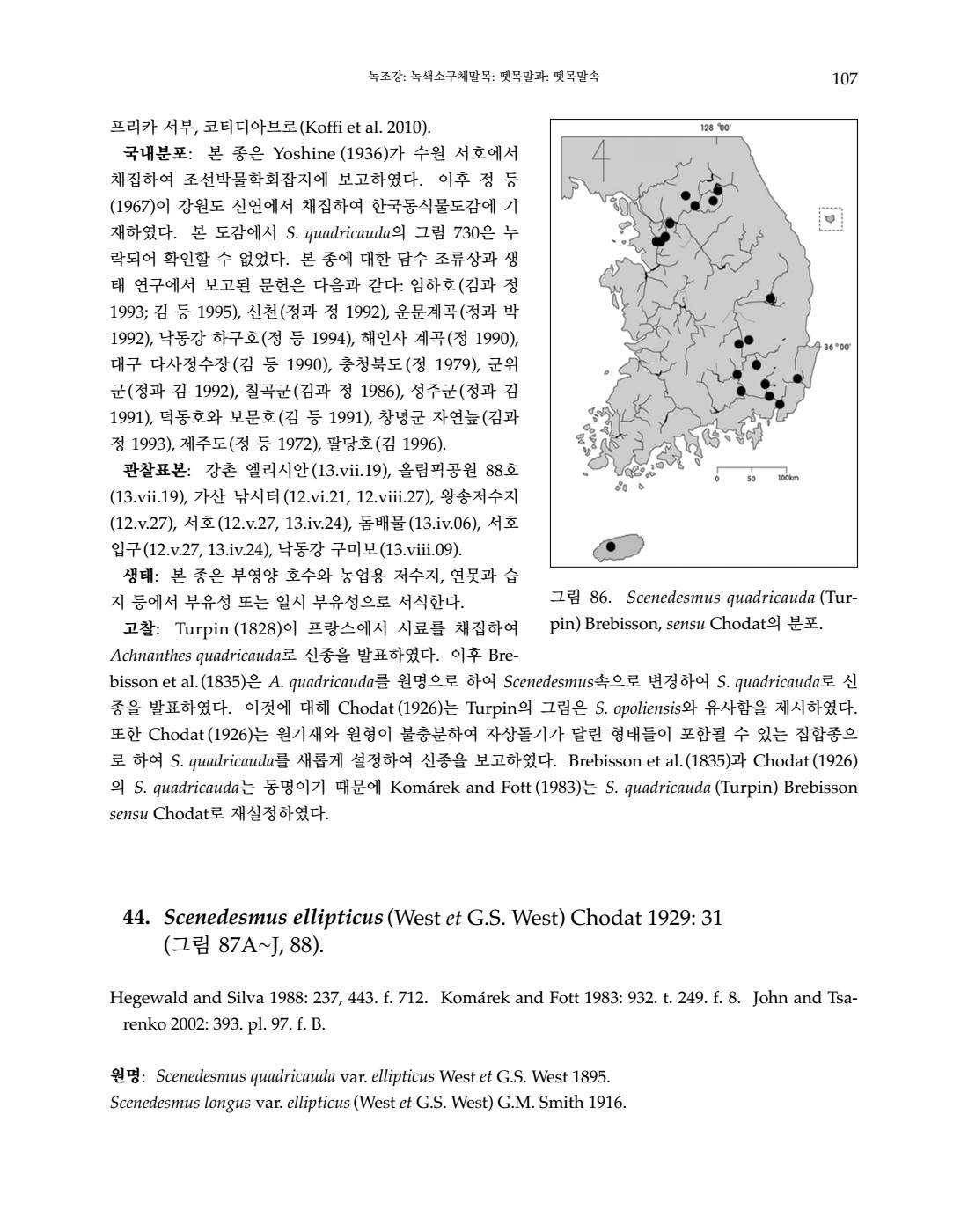 페이지