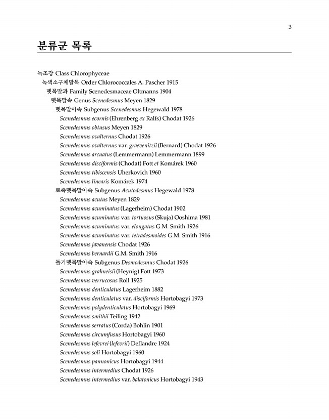 3페이지