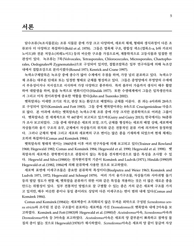 5페이지