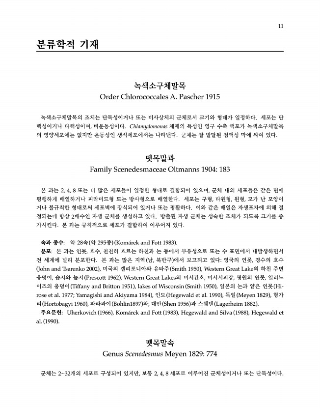 11페이지