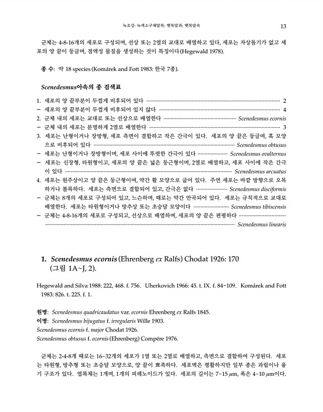 13페이지