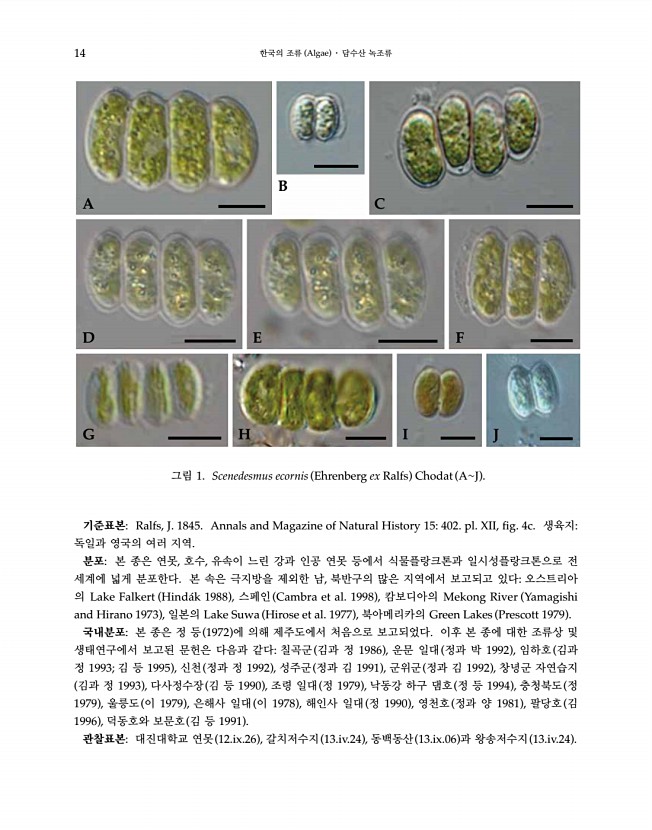 14페이지