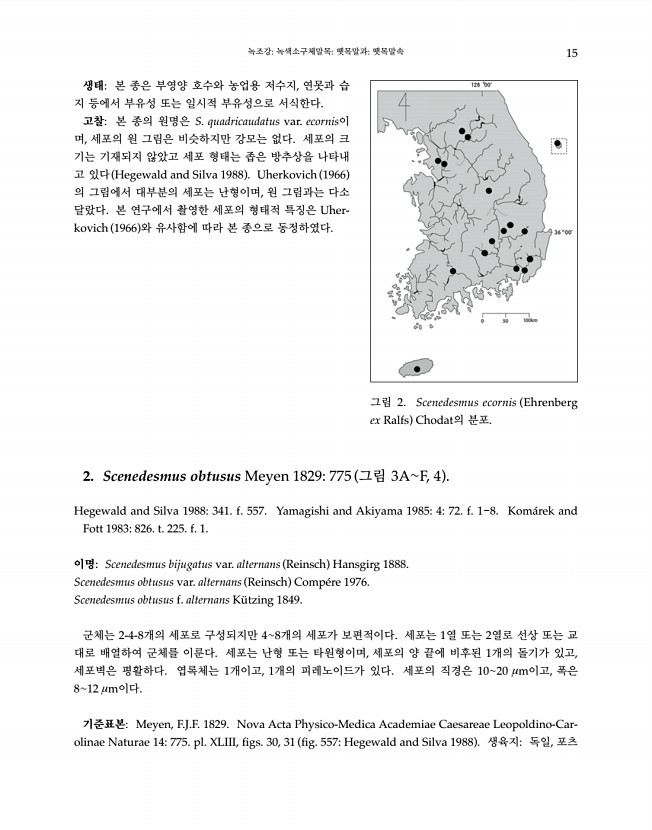 15페이지