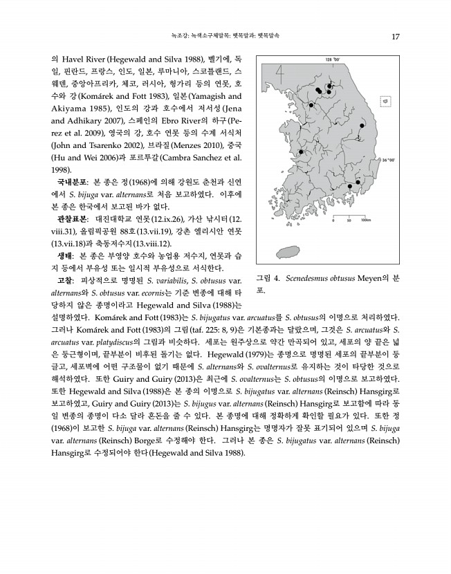 17페이지