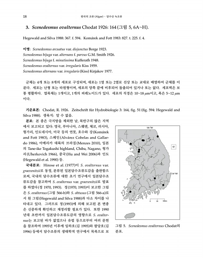 18페이지