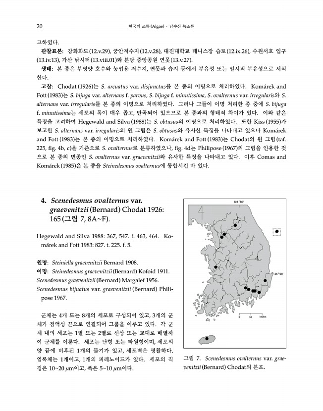 20페이지