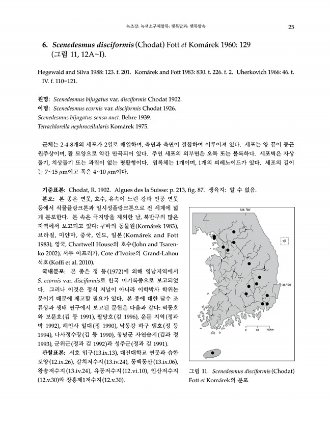 25페이지