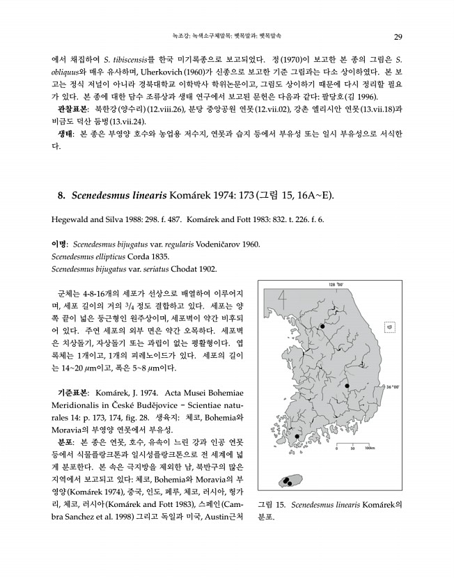 29페이지