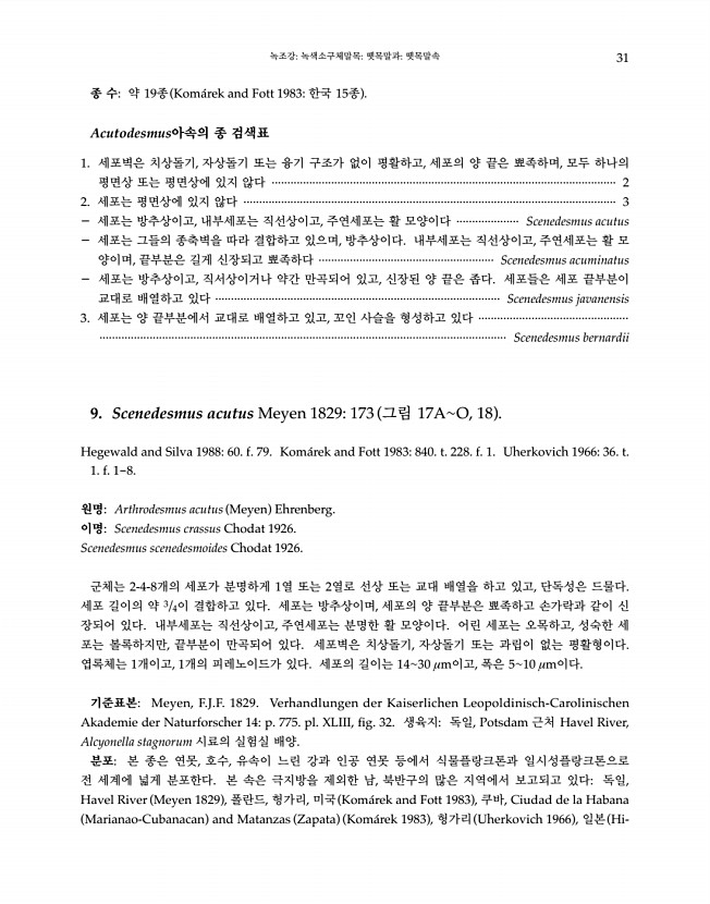 31페이지