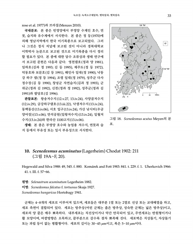 33페이지