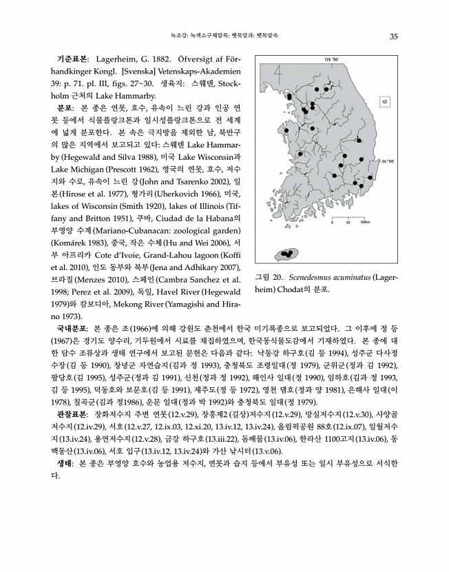 35페이지
