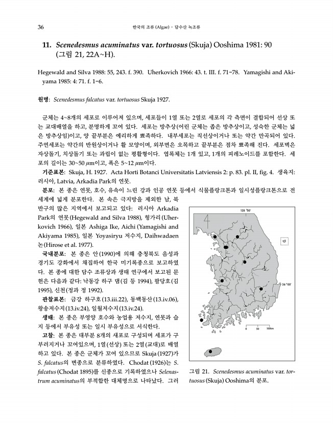 36페이지