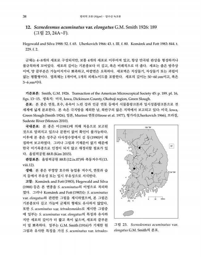 38페이지