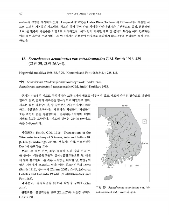 40페이지