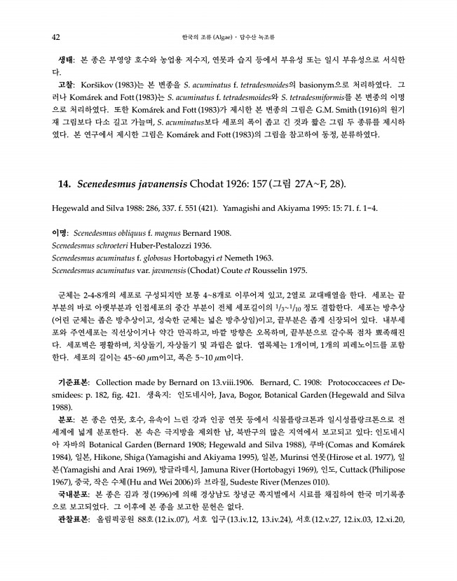 42페이지