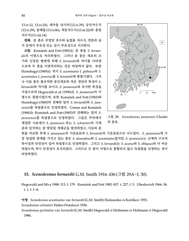 44페이지
